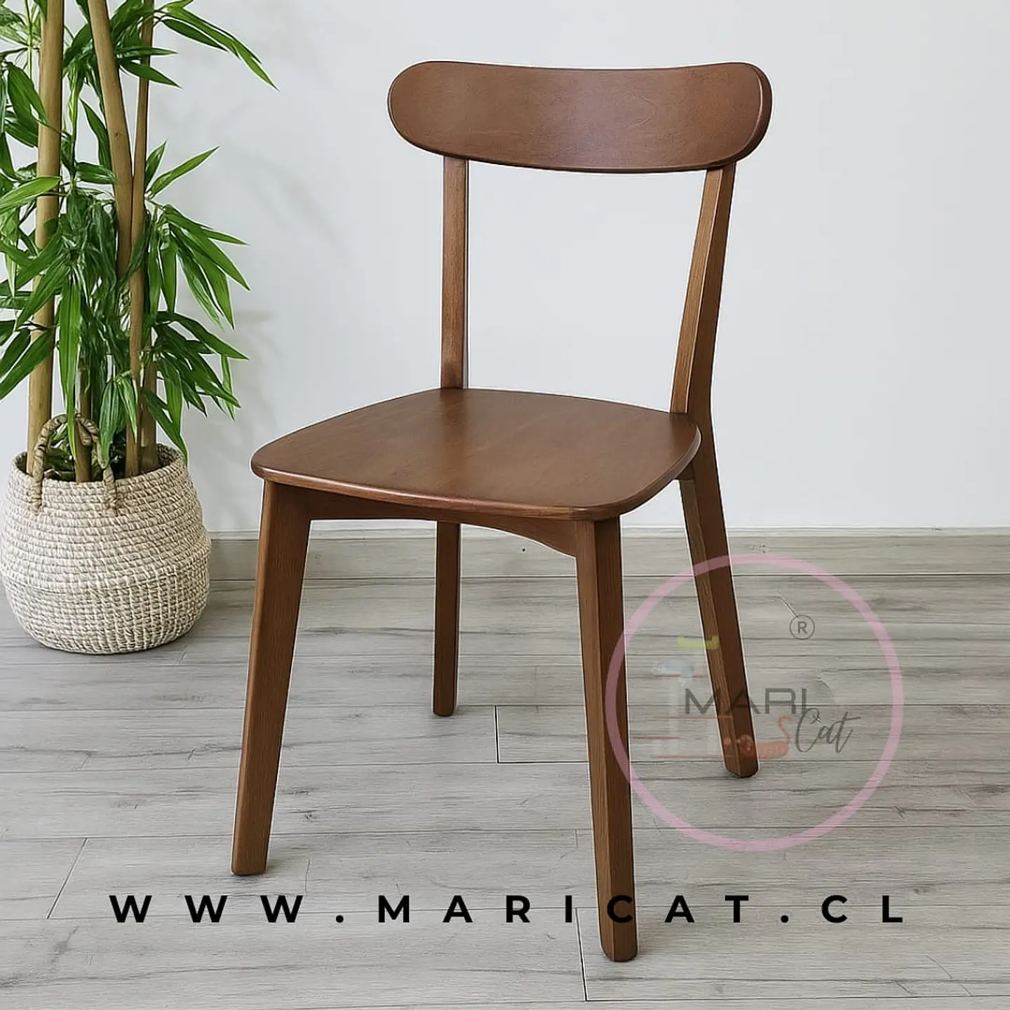 Pack de 4 Sillas Fresno de Madera Maciza 5