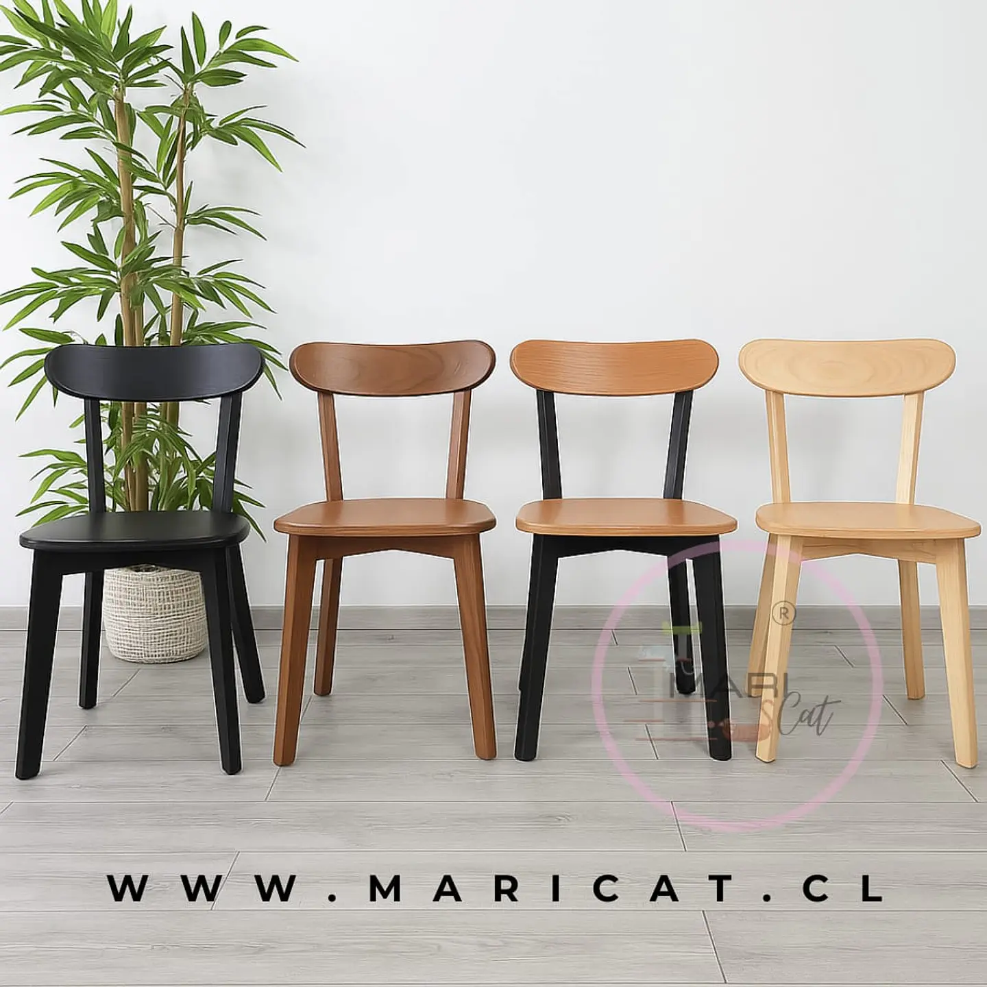Mesa redonda Vidrio Madrid Warwick + Silla Fresno de Madera comedor  2