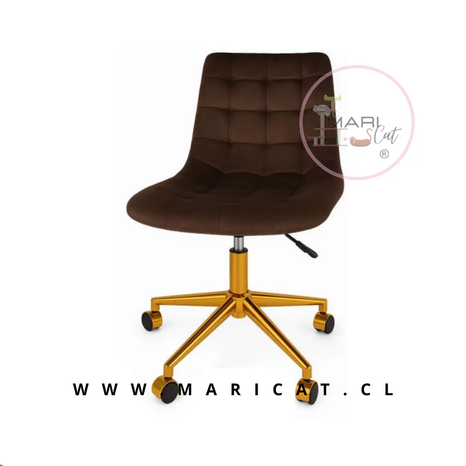 Silla Capitone Gold Cafe 1