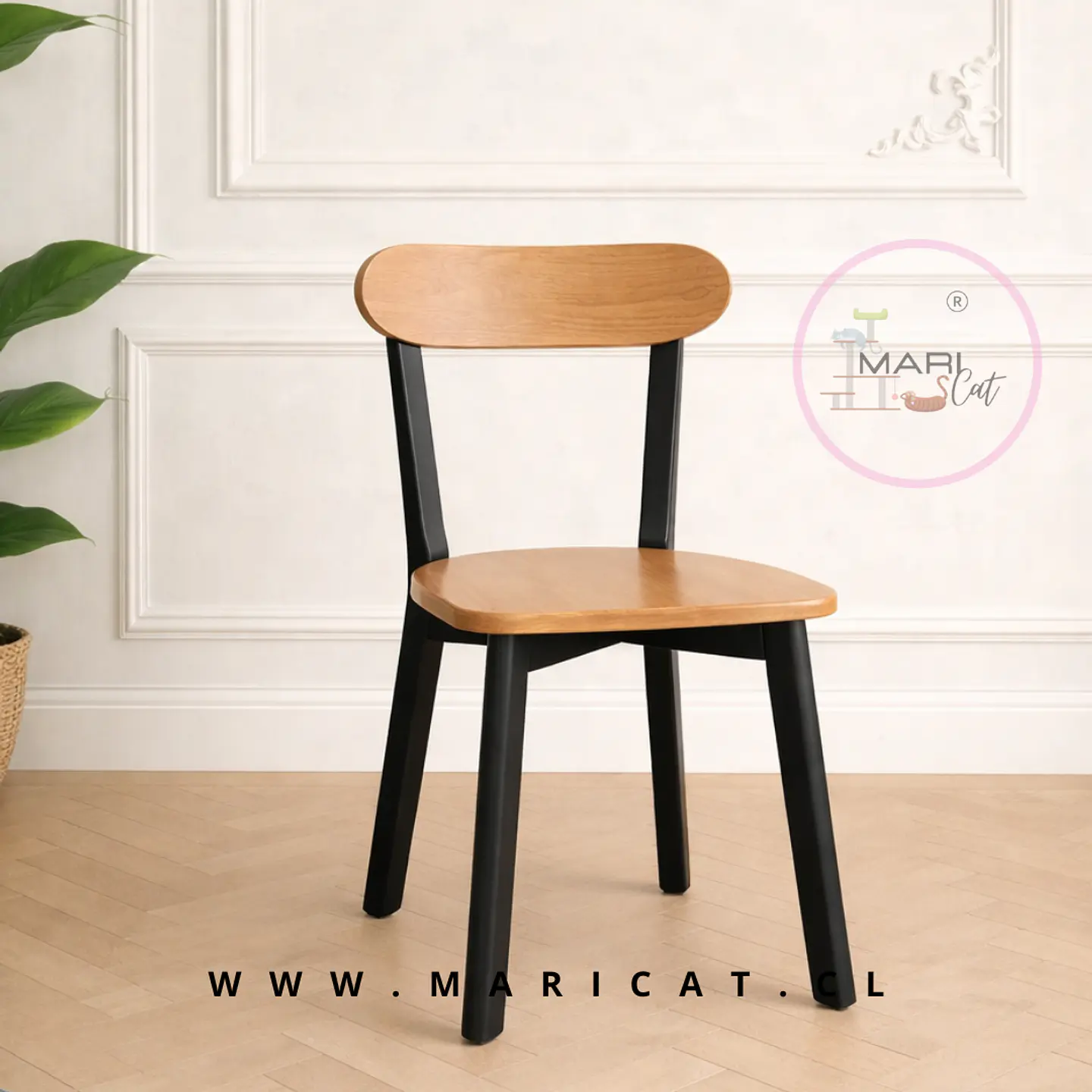 Sillas Fresno de Madera Maciz 2