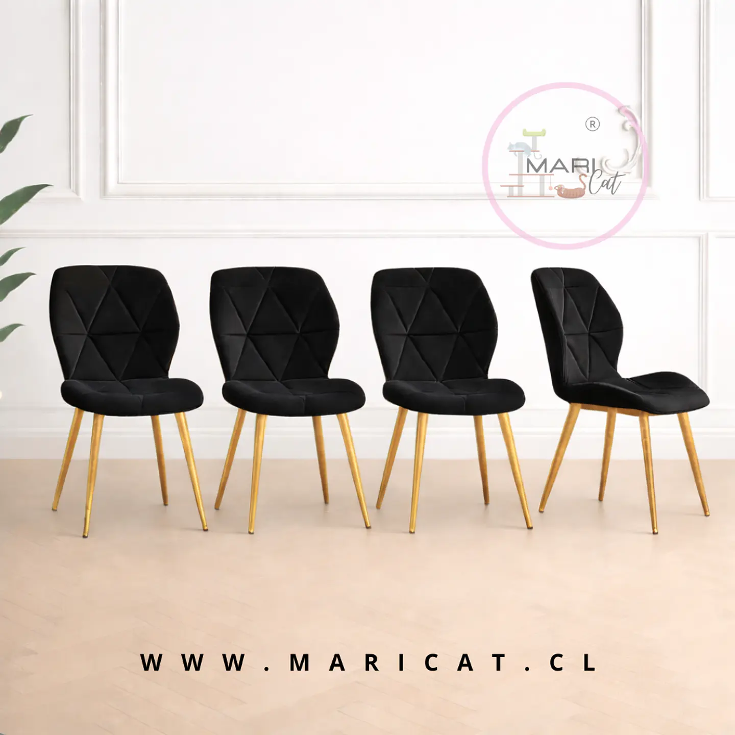 Pack de 4 Sillas Fiori Felpa Negra con Patas Metálicas Doradas Gold  1
