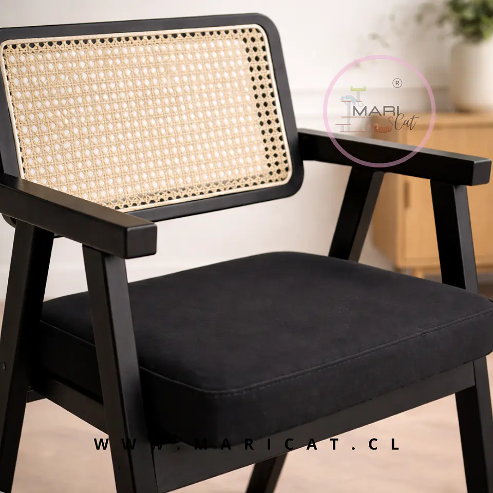 Silla Chandigarh de Madera rattan Negro con Cojin Pro- living recepcion lectura 2