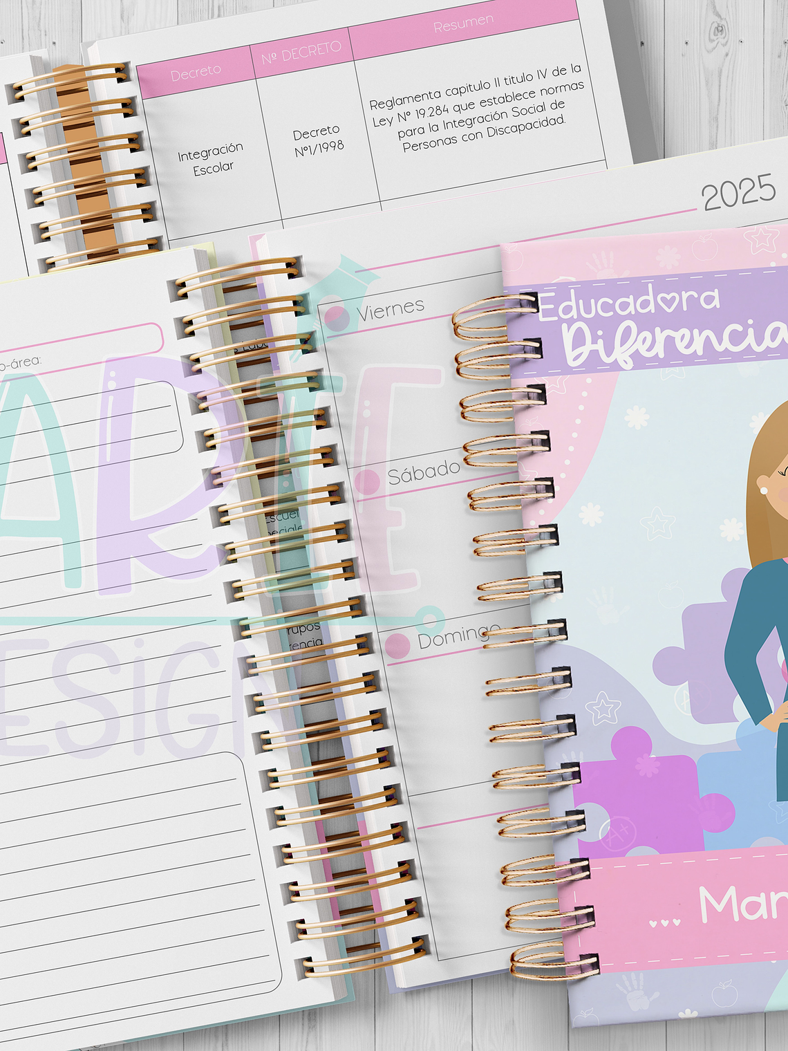 Plantilla Imprimible Planner  Educadora Diferencial 2026 1