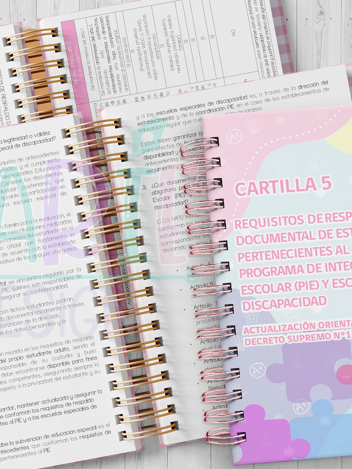 Plantilla Imprimible Actualización Cartillas n°5 1