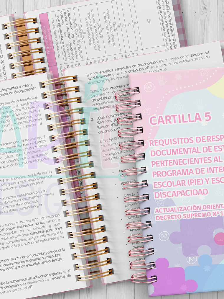 Plantilla Imprimible Actualización Cartillas n°5 1