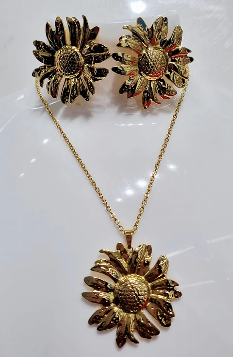 Conjunto  AQ D 14