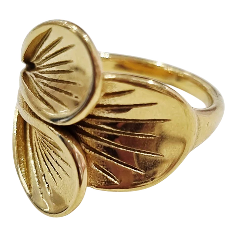 Anillo AQ G 1