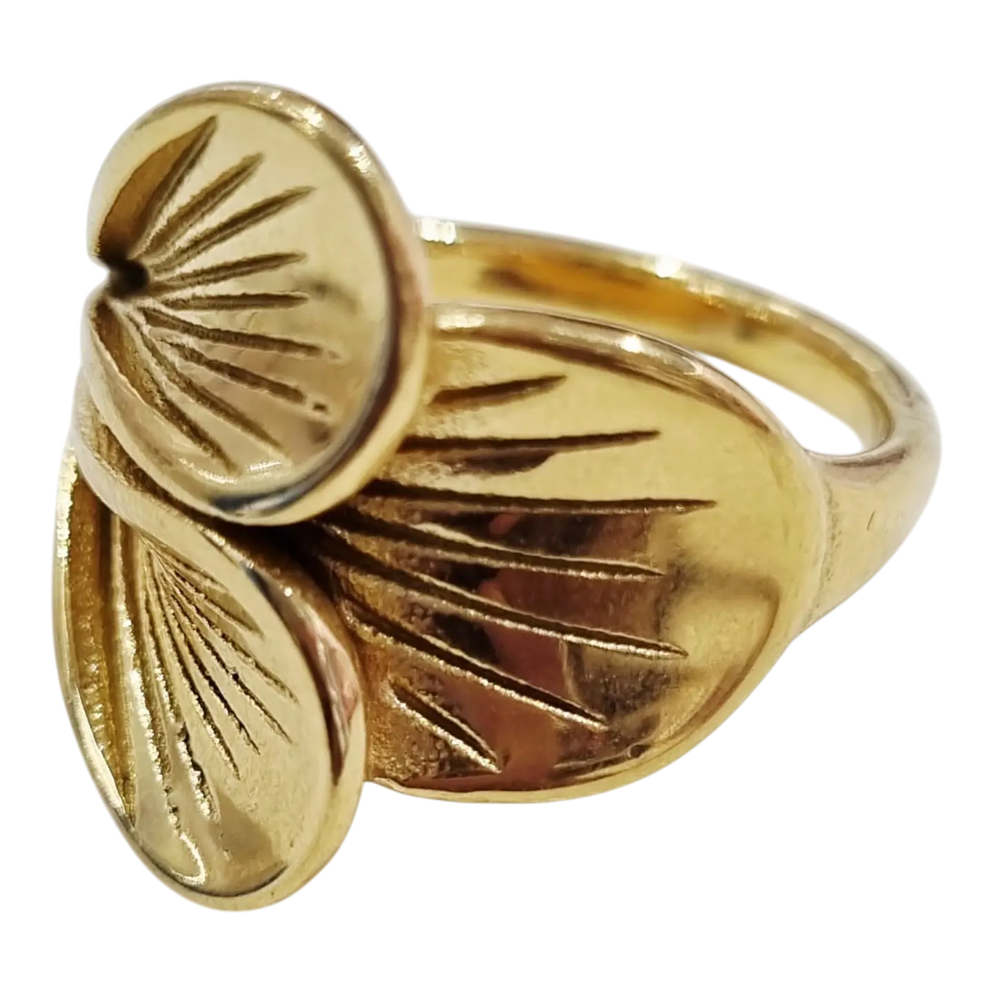 Anillo AQ G 1 1