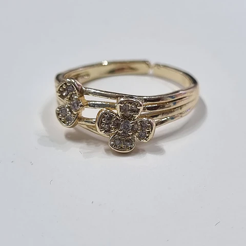 Anillo AQ D 10