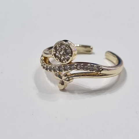 Anillo AQ D 21
