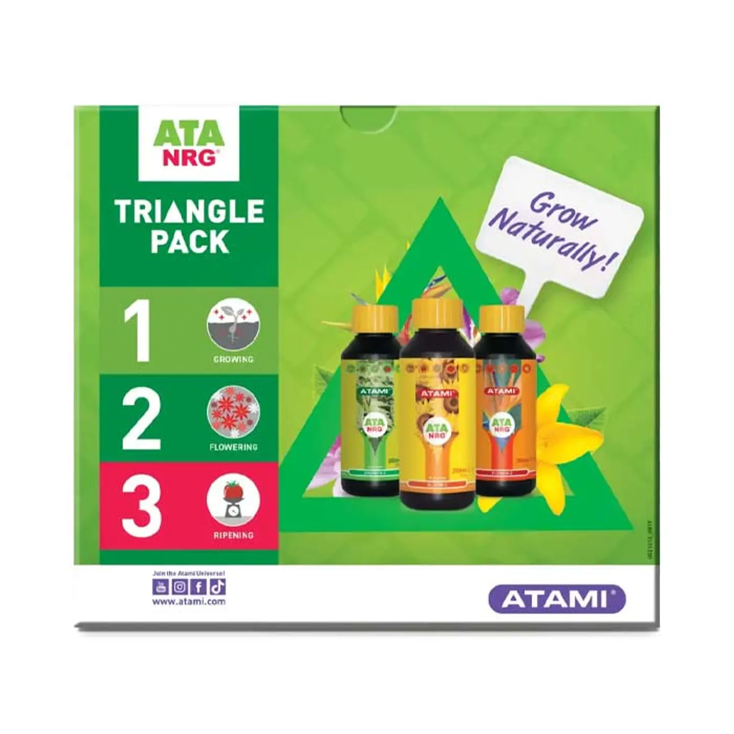 Triangle Pack Atami  1