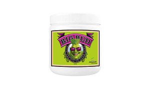Big Bud 130g Advanced Nutrients
