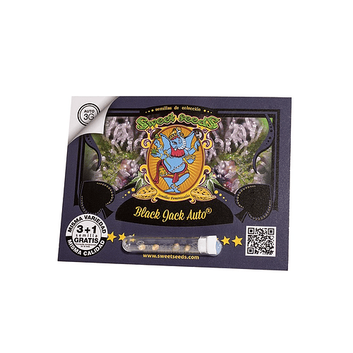 Black Jack Auto 3+1 uds Sweet Seeds – Autofloreciente