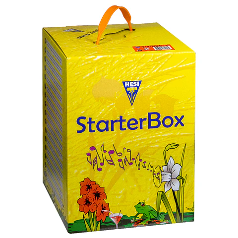 Starter Box Coco HESI 