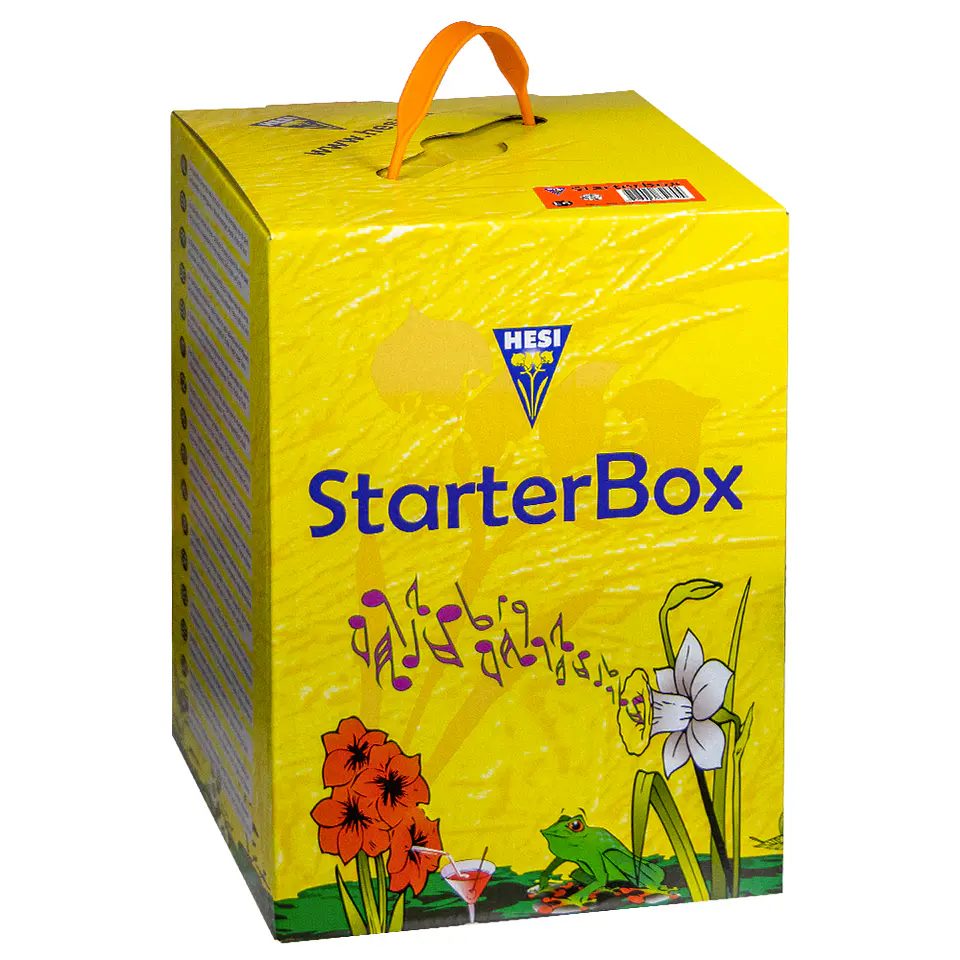 Starter Box Coco HESI  1