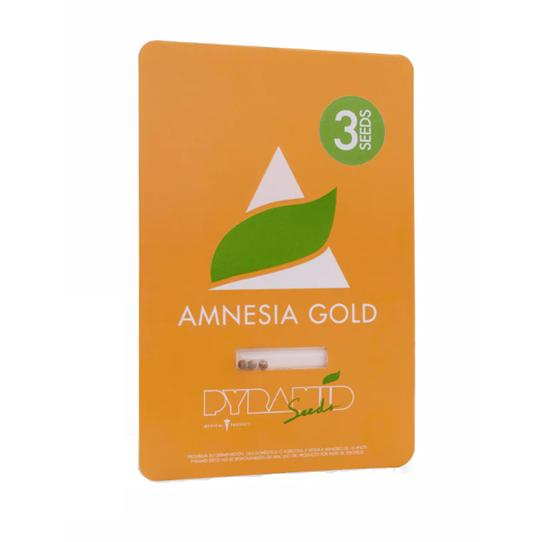 Amnesia Gold 3+1 Uds Pyramid Seeds 1