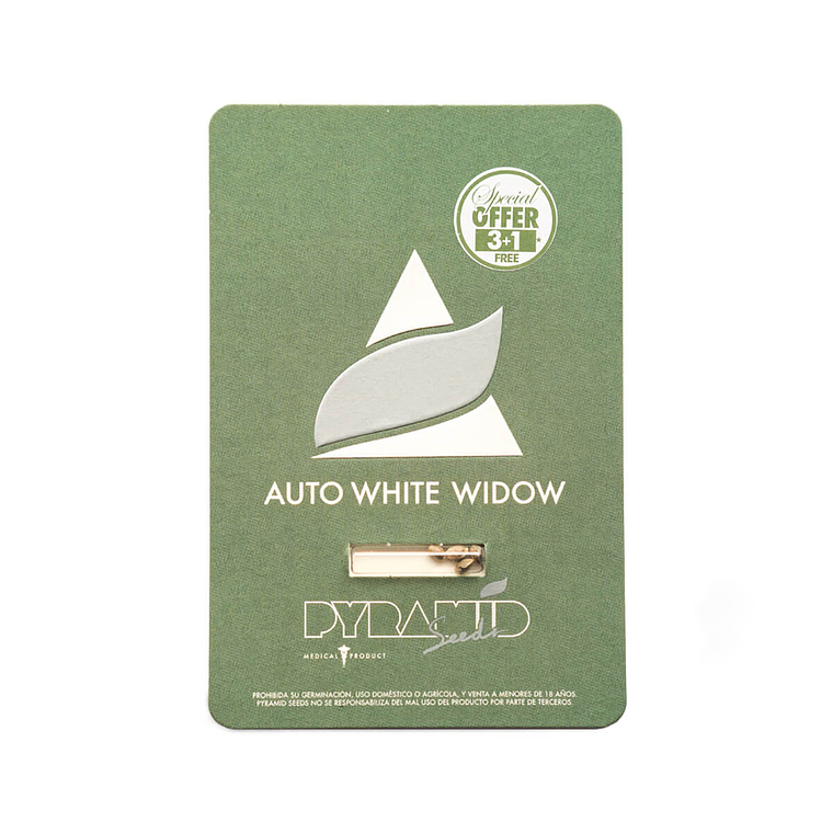 Auto White Widow 3+1Uds Pyramid Seeds 1