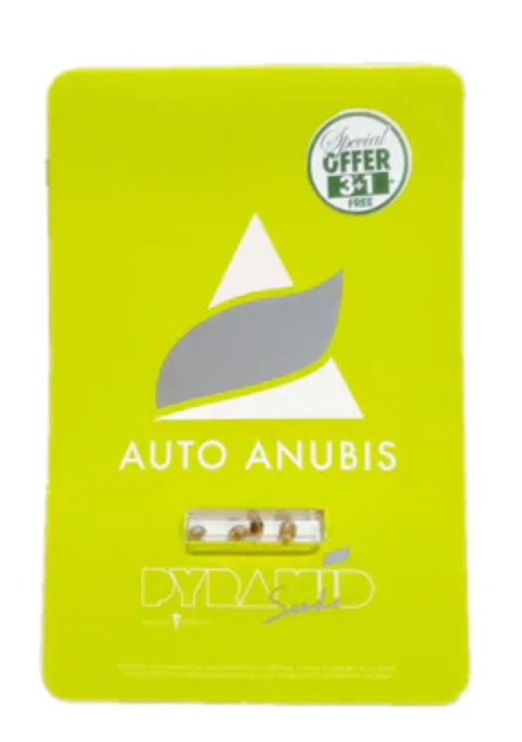 auto anubis 3+1 uds pyramid seeds 