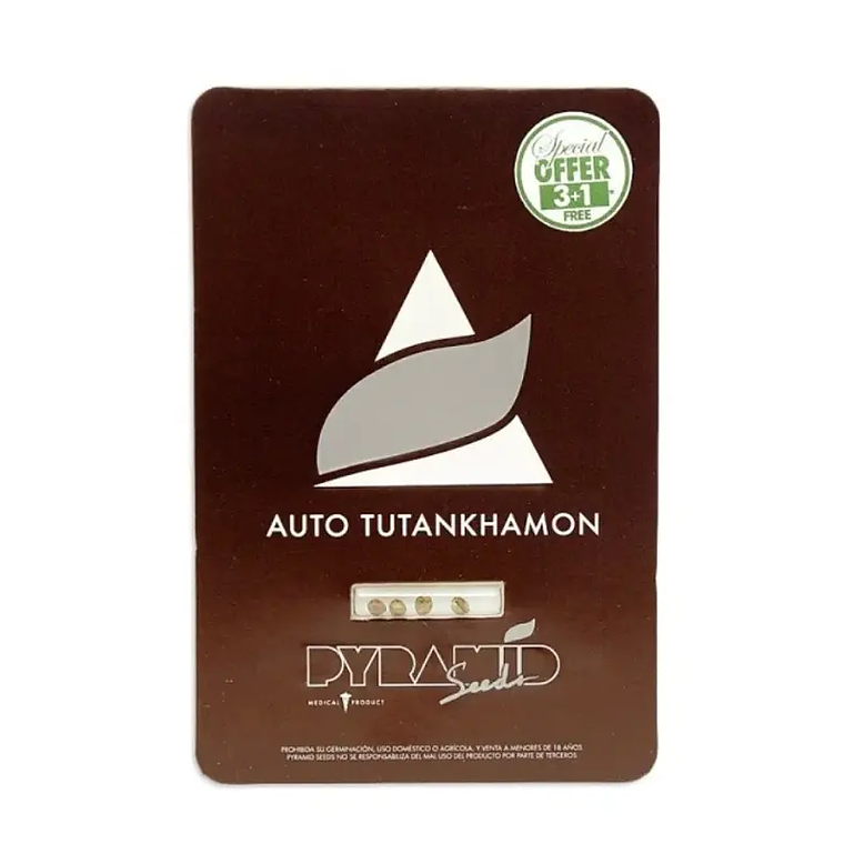 Auto Tutankhamon 3+1UDS Pyramid Seeds 1