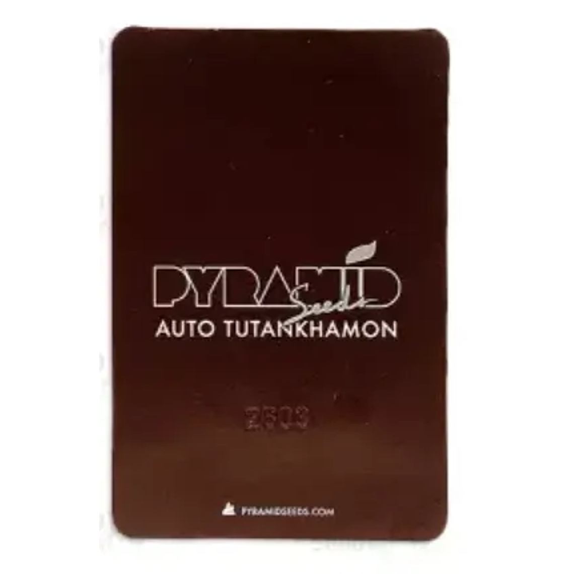 Auto Tutankhamon 3+1UDS Pyramid Seeds 2