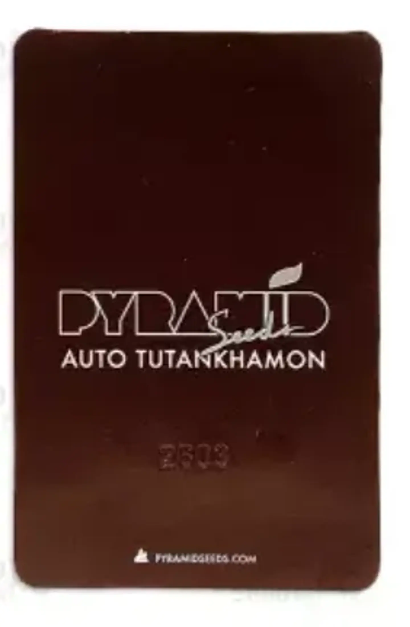 Auto Tutankhamon 3+1UDS Pyramid Seeds 2