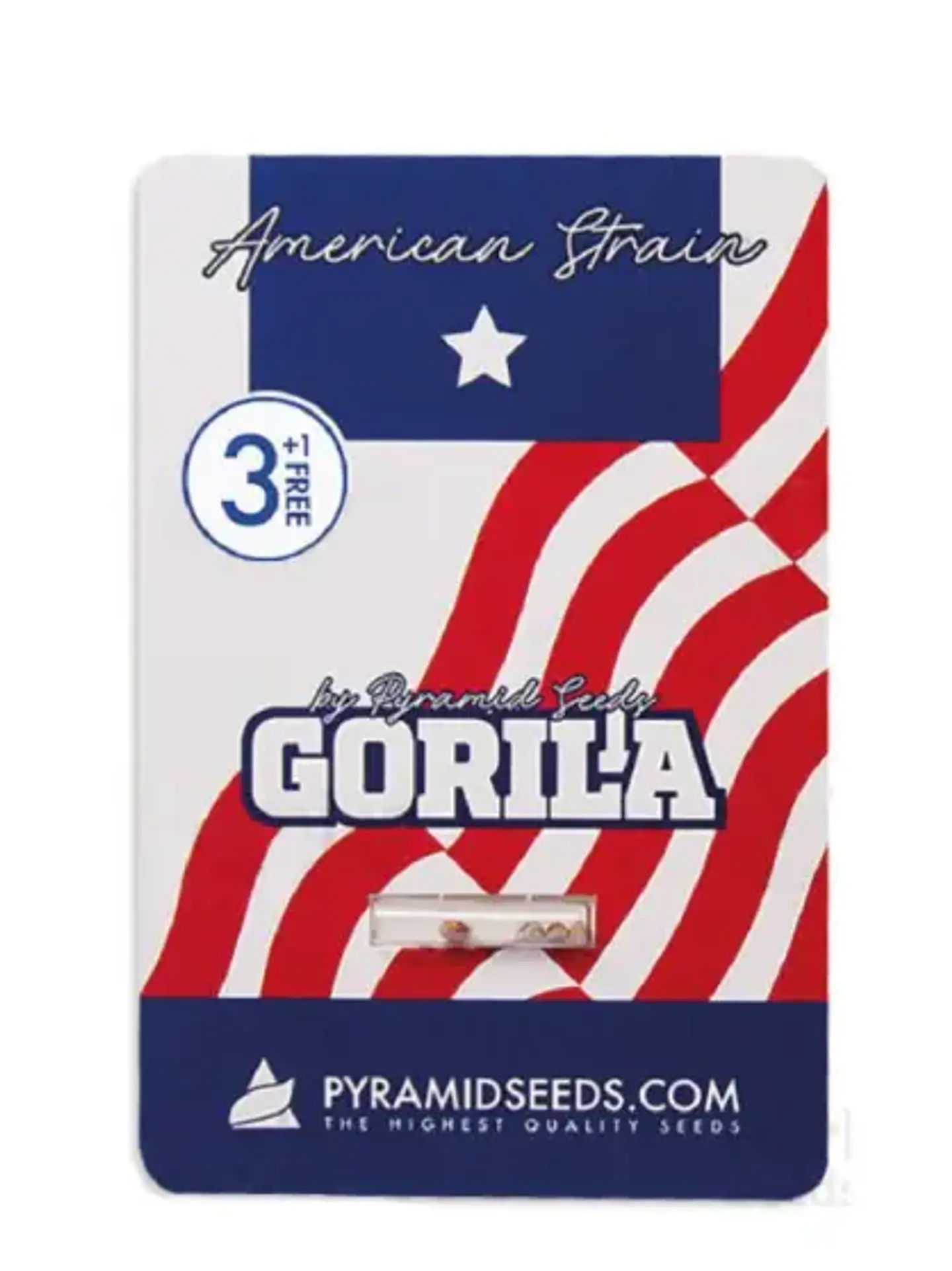 GORILA 3+1 UDS PYRAMIDS SEEDS  1