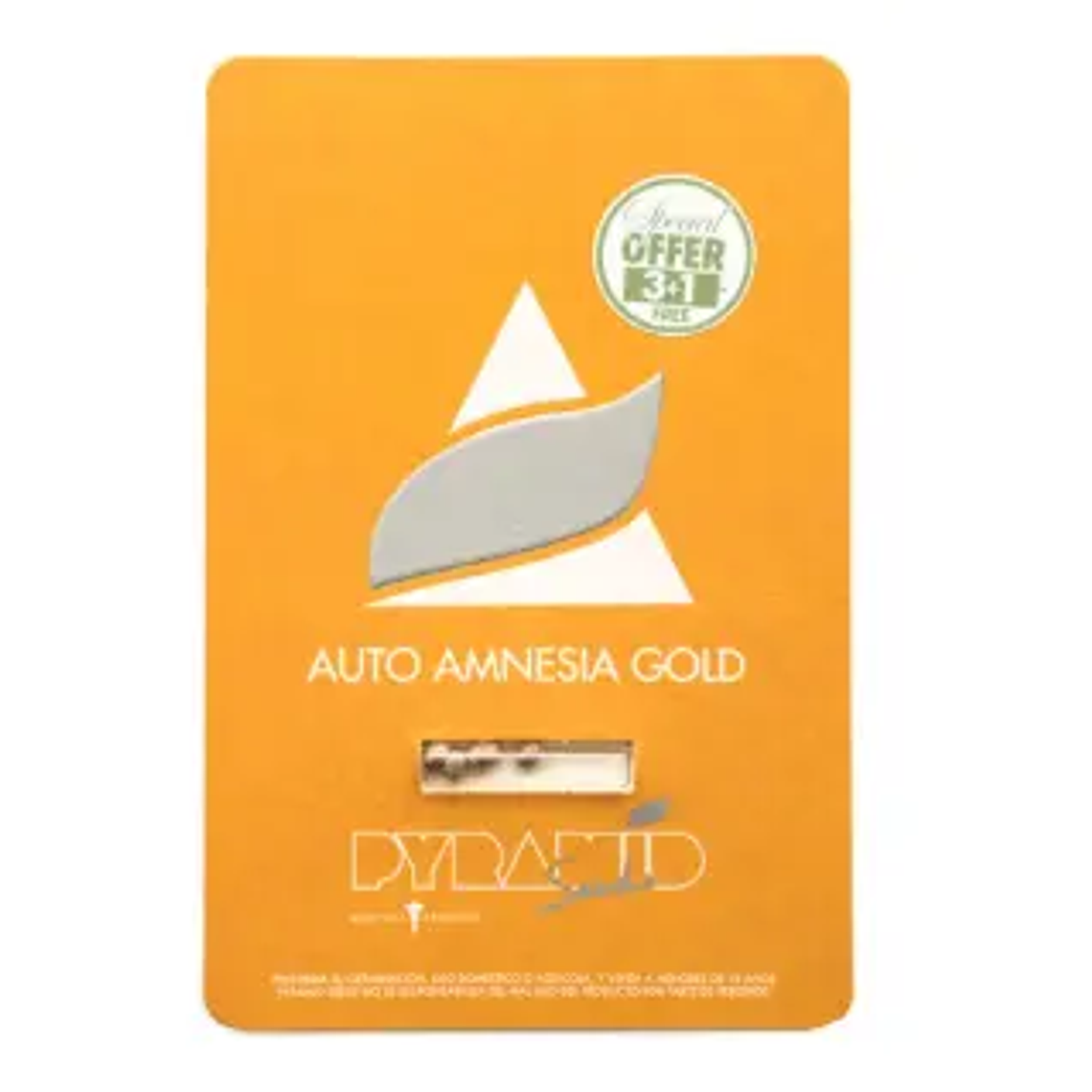 AUTO AMNESIA GOLD 3+1UDS PYRAMID SEEDS 1