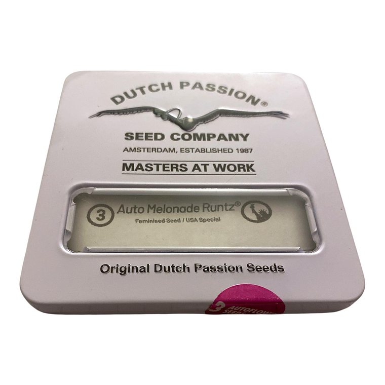 Auto Melonade Runtz 3Uds Dutch passion  1