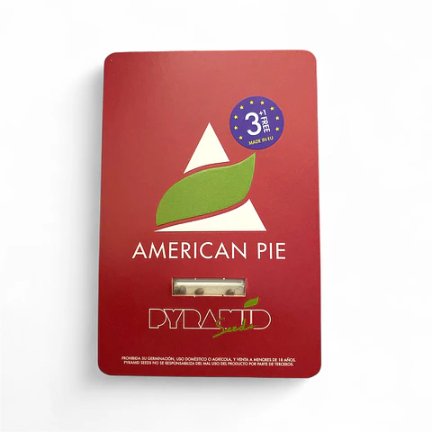American Pie 3uds  – Pyramid Seeds