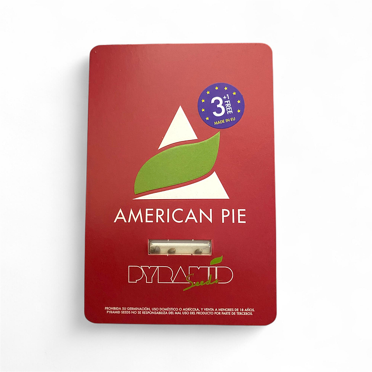 American Pie 3uds  – Pyramid Seeds 1