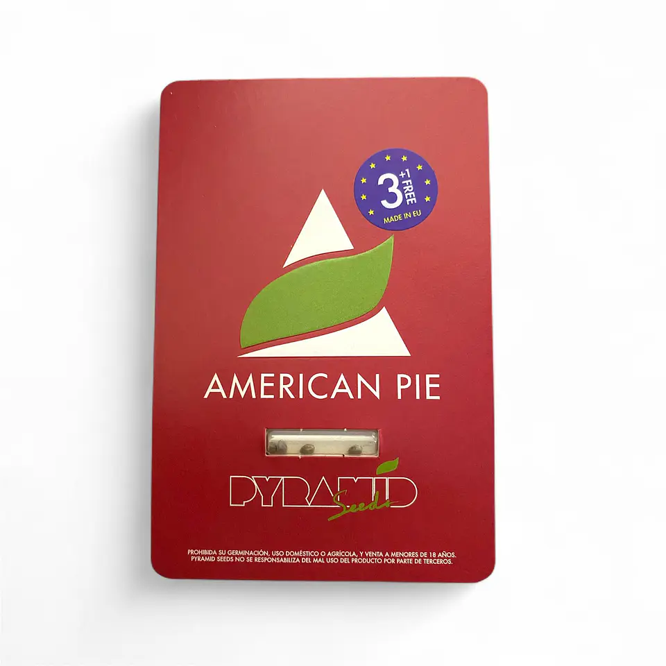 American Pie 3uds  – Pyramid Seeds 1
