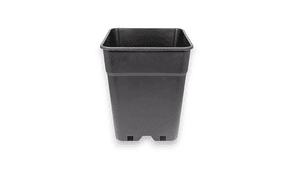 maceta 5 litros cuadrada negra