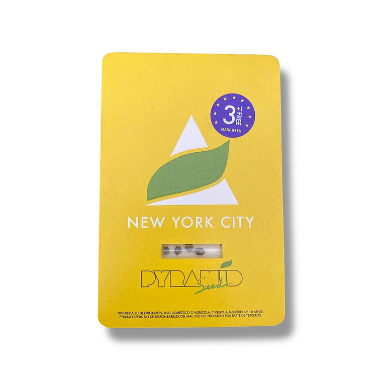 New York City 3+1Uds Pyramid Seeds 1