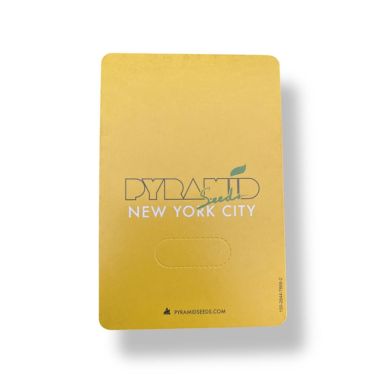 New York City 3+1Uds Pyramid Seeds 2