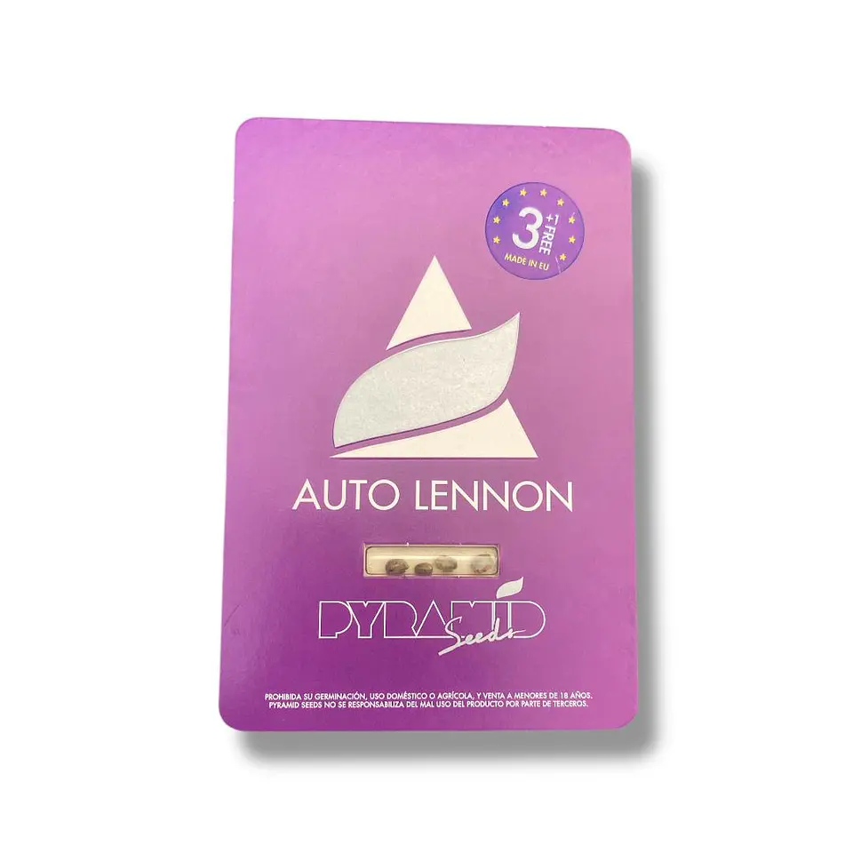 LENNON AUTO 3+1UDS  PYRAMID SEEDS 1