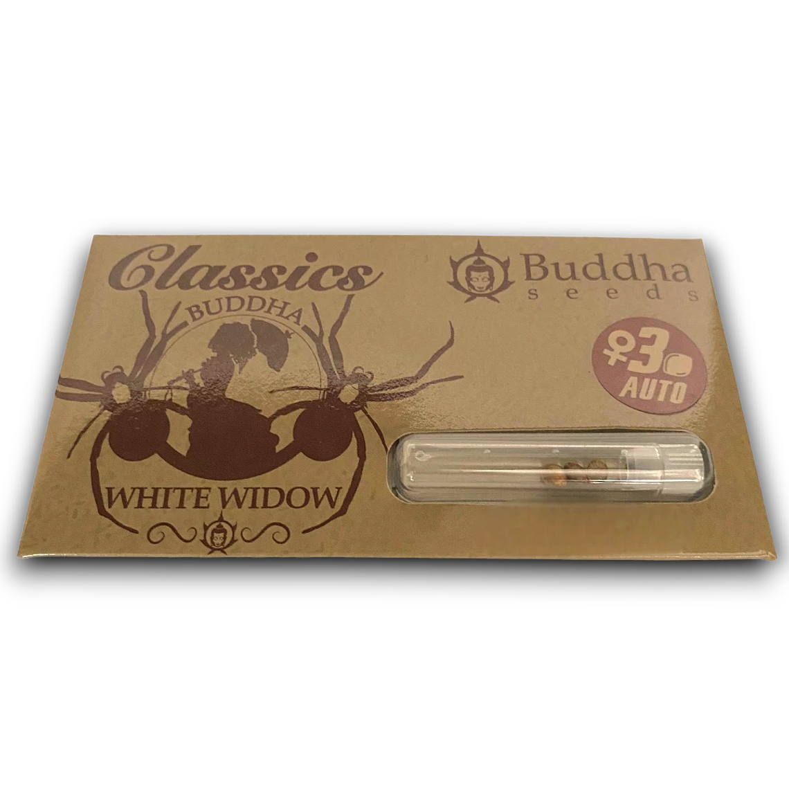 Buddha Auto White Widow | La Leyenda Resinosa Autofloreciente  1