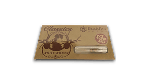 Buddha Auto White Widow | La Leyenda Resinosa Autofloreciente 