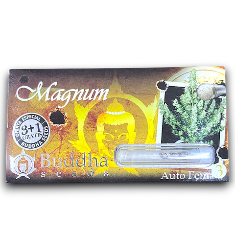  Magnum Auto 3+1uds Buddha Seeds 