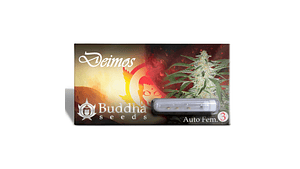 DEIMOS AUTO 3+1 uds BUDDHA SEEDS