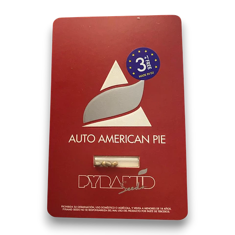 Auto American Pie 3+1uds Pyramid Seeds