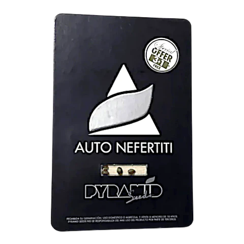 Auto Nefertiti 3+1Uds Pyramid Seeds