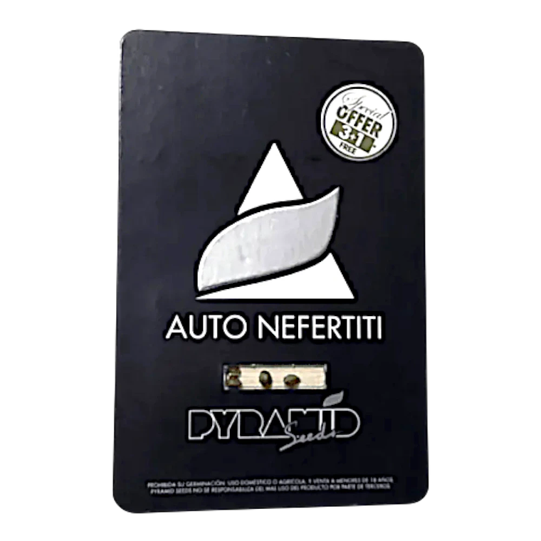 Auto Nefertiti 3+1Uds Pyramid Seeds 1