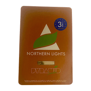 northern lights 3+1uds pyramid seeds 
