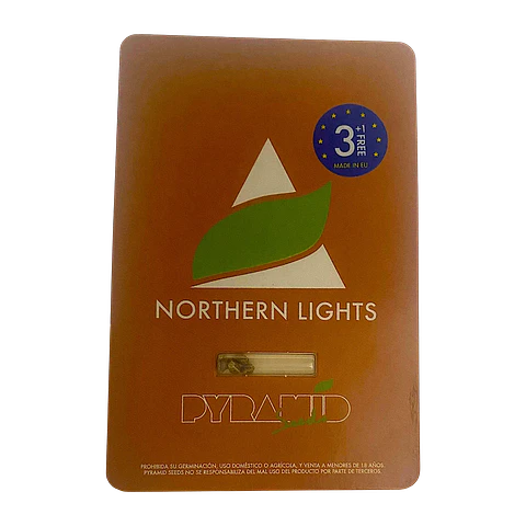 northern lights 3+1uds pyramid seeds 