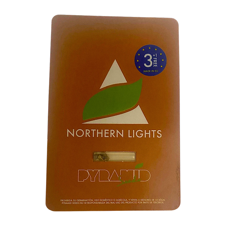 northern lights 3+1uds pyramid seeds  1