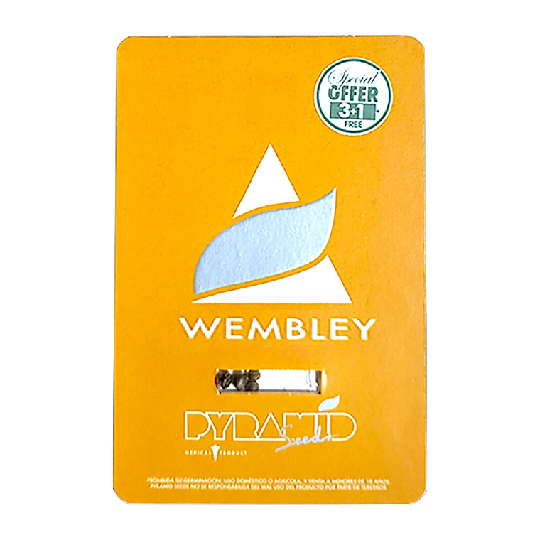 wembley 3+1uds pyramid seeds 1