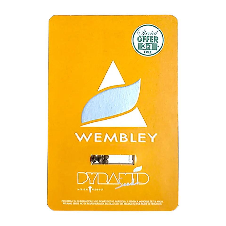 wembley 3+1uds pyramid seeds 1