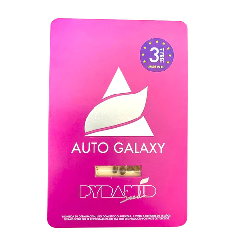 Auto Galaxy 3+1 Uds Pyramid Seeds