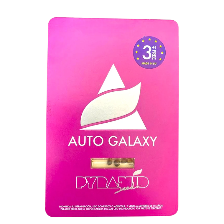 Auto Galaxy 3+1 Uds Pyramid Seeds 1