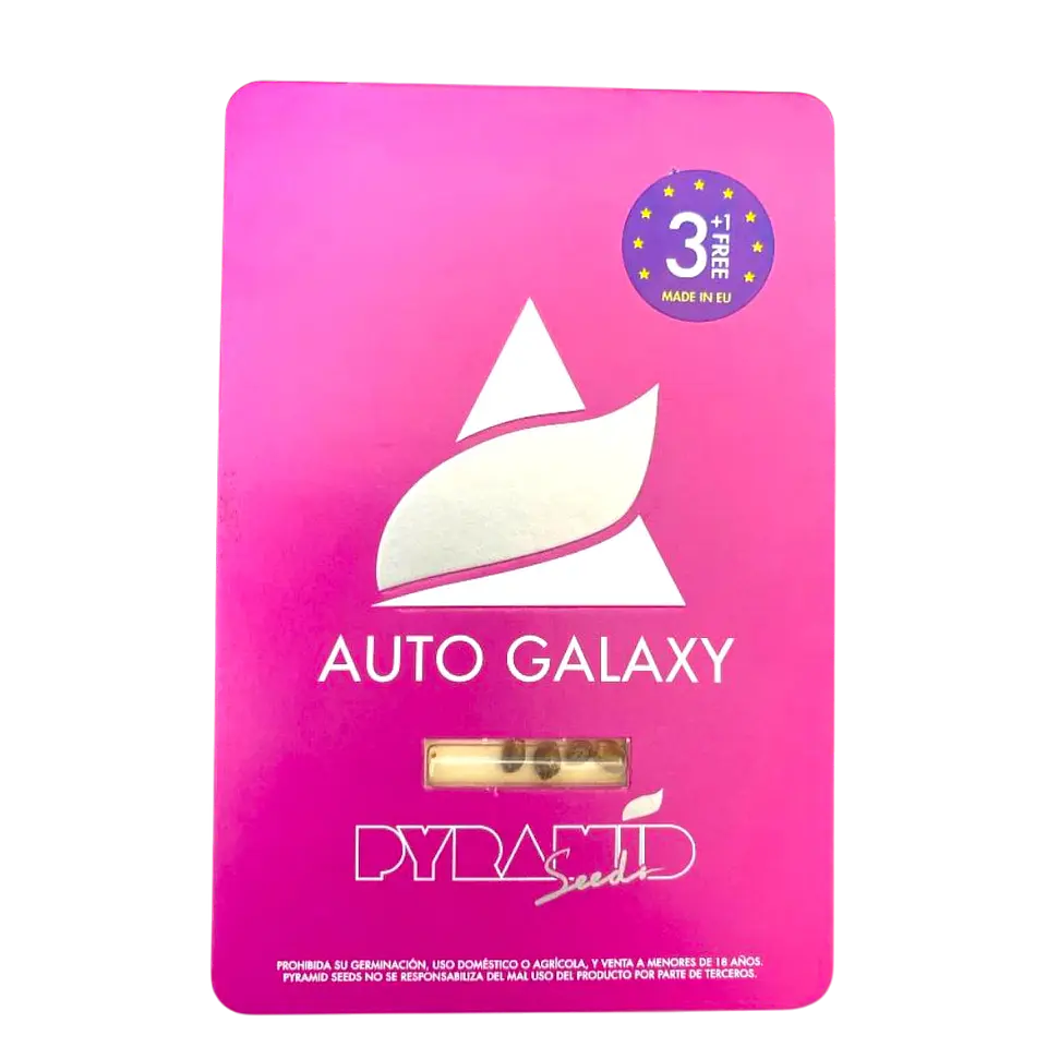 Auto Galaxy 3+1 Uds Pyramid Seeds 1